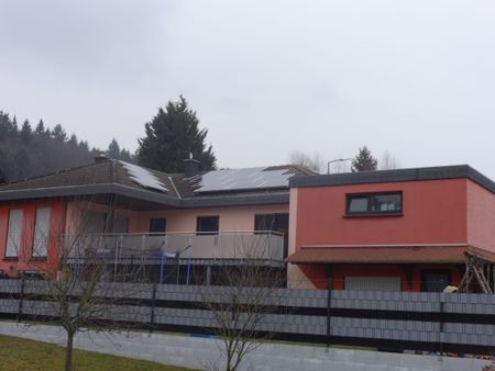 Steil- und Flachdach Igel