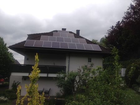 Steildach Trierweiler